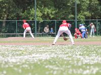 Heren Honkbal - Arnhem Rhinos 04-06-2023 4549