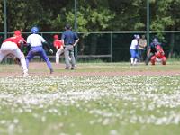 Heren Honkbal - Arnhem Rhinos 04-06-2023 4554